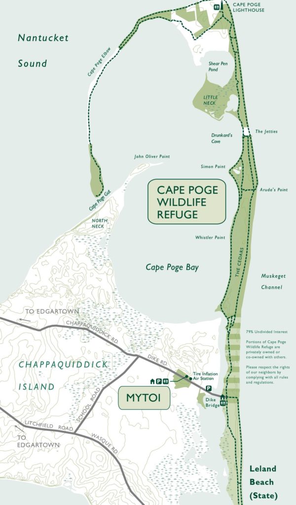 Take a Hike: Cape Poge Wildlife Refuge | This Week on Martha's Vineyard